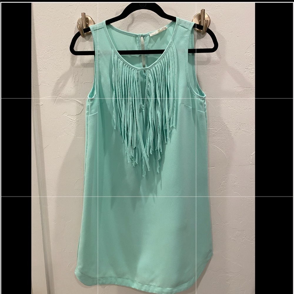 Sugarlips fringe dress- worn once